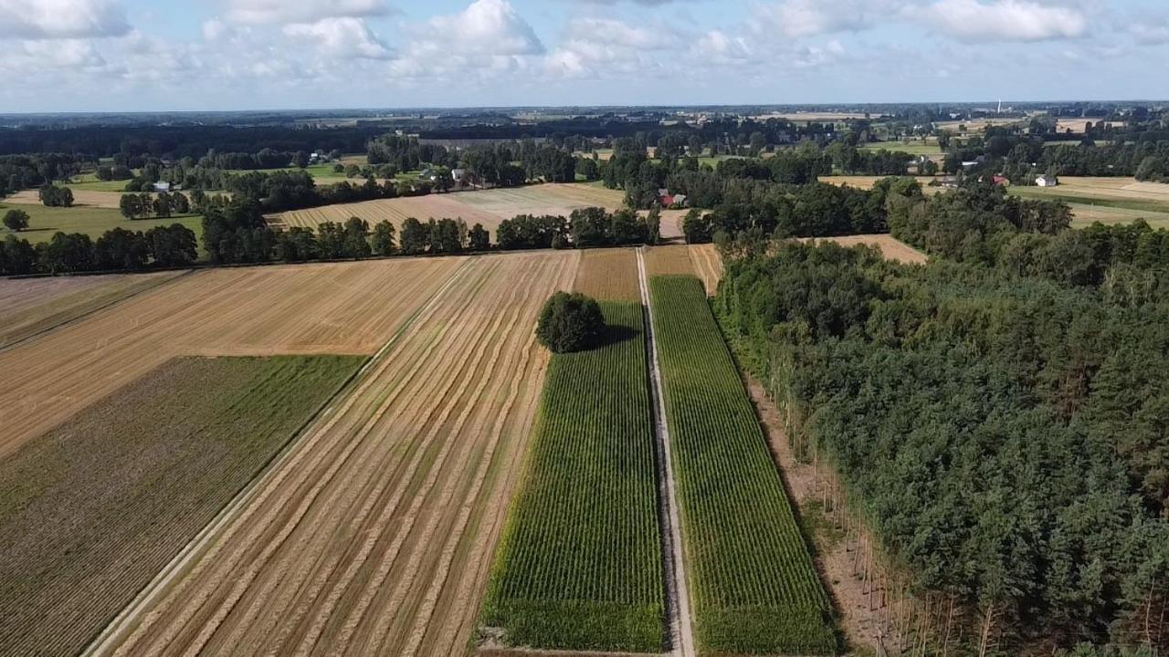 Maciejowka Gospodarstwo Agroturystyczne Poddebice Eksteriør billede